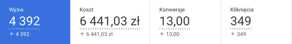 Wyniki kampanii Google Ads dla Mirosław Doliński: budżet, kliknięcia i konwersje