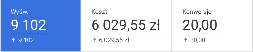 Wyniki kampanii Google Ads dla Heron Nieruchomości: budżet, kliknięcia i konwersje