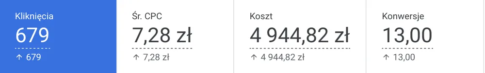 Wyniki kampanii Google Ads dla My Blue House: budżet, kliknięcia i konwersje
