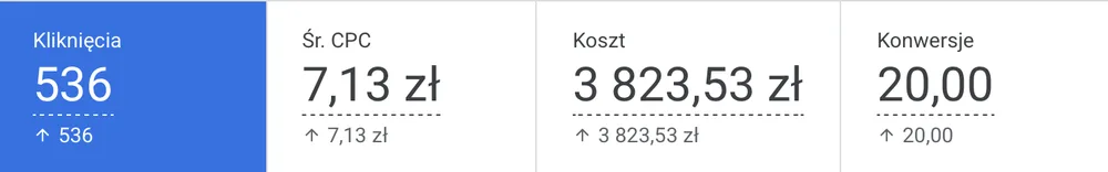 Wyniki kampanii Google Ads dla Olga Pronina: budżet, kliknięcia i konwersje