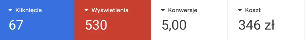 Wyniki kampanii Google Ads dla Patryk Rodak: budżet, kliknięcia i konwersje
