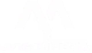 AvigonMedia