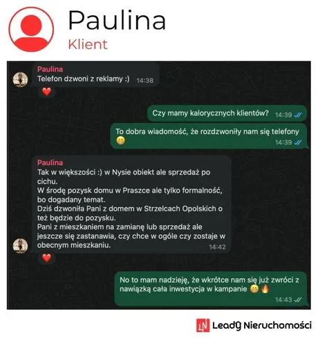 Opinia klienta Leady Nieruchomości, rozmowa WhatsApp o wynikach kampanii